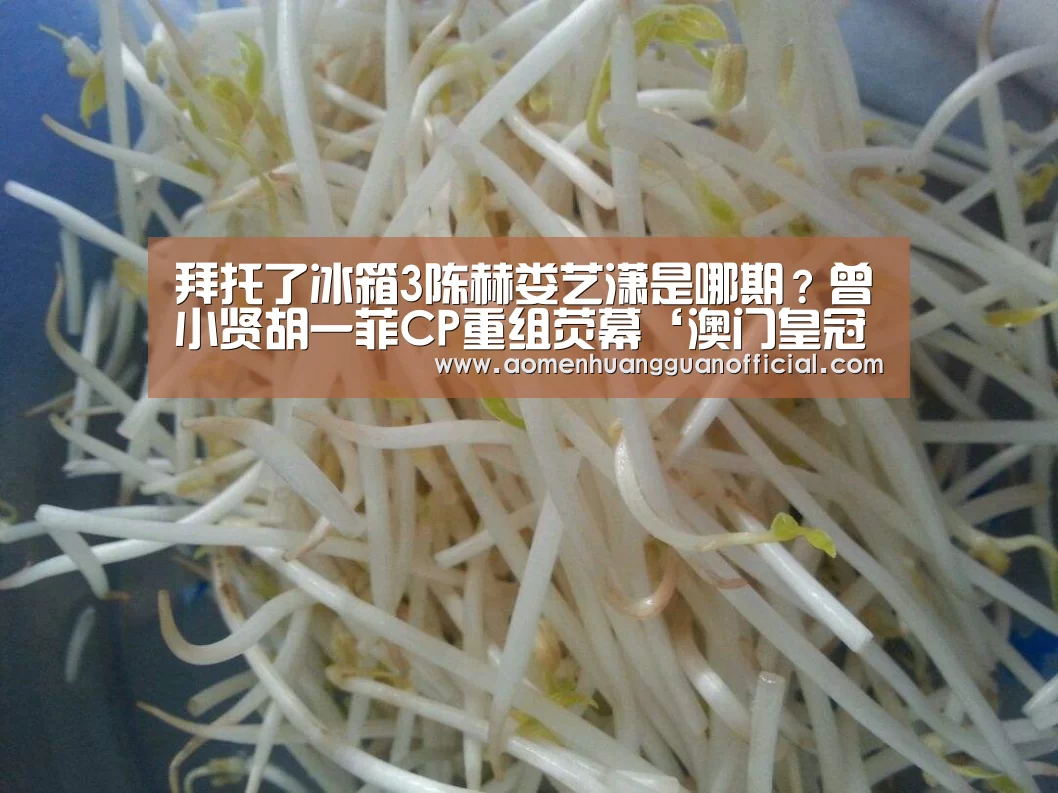 澳门皇冠网站
