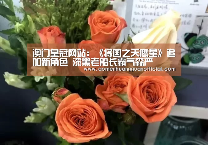 澳门皇冠网站：《将国之天鹰星》追加新角色 漆黑老船长霸气森严(图1)