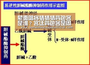 澳门皇冠网站