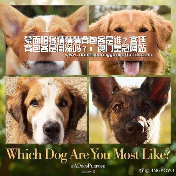 澳门皇冠网站官网